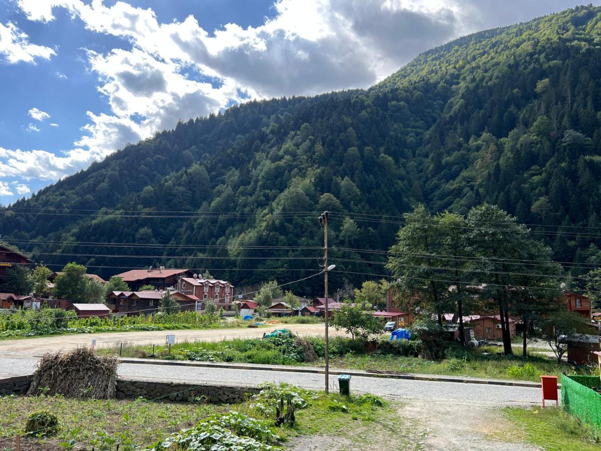 Karadeniz Apart Otel Uzungol Exterior photo